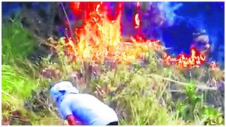 Pasco: Incendio arrasa  con cientos de hectáreas de pinos y eucaliptos