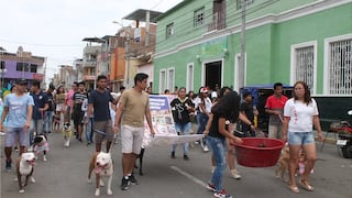 Pobladores marchan en protesta por últimos asesinatos de perritos en Chepén (VIDEO)