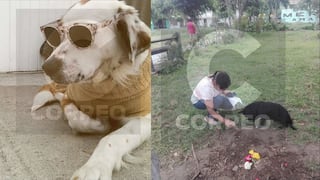 Hombre mató a perro porque habría empujado a niña en San Martín de Porres (VIDEO)