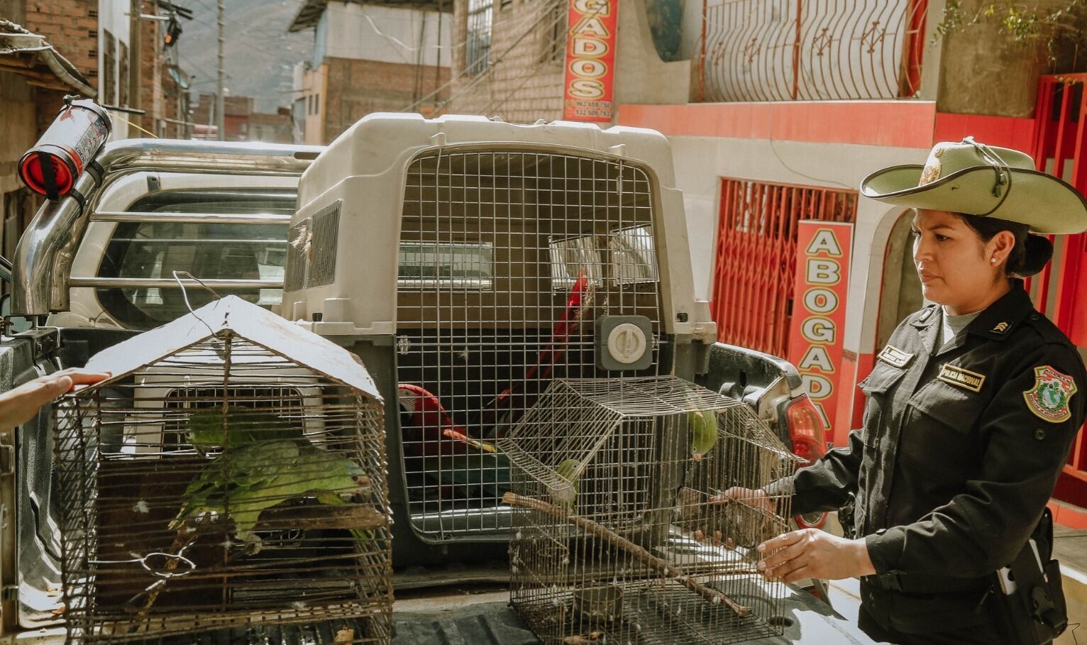 Autoridades ponen de su parte para la protección de fauna silvestre