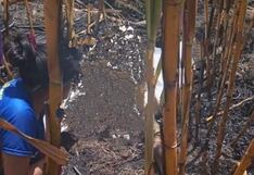 Agricultor muere carbonizado en Ayabaca