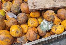 Almacenan naranjas podridas en comercios de Huancayo