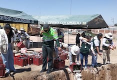 Eliminan contenido de 2 mil 700 botellas de bebidas alcohólicas en Arequipa