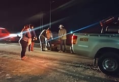 Atropellan a hombre en la Panamericana Sur y fallece