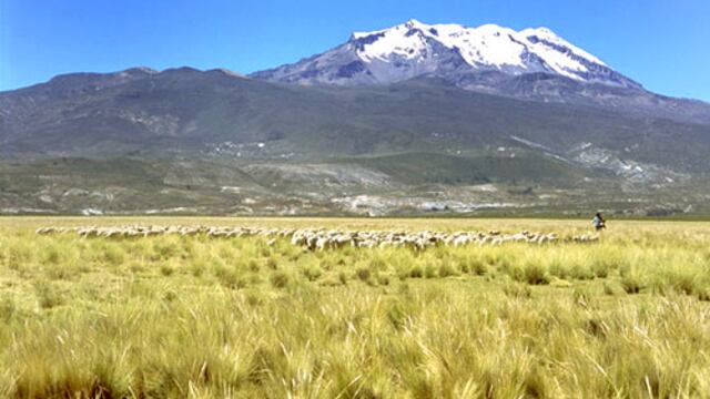 Ayacucho: mejorarán accesos de la ruta hacia el nevado del Sara Sara