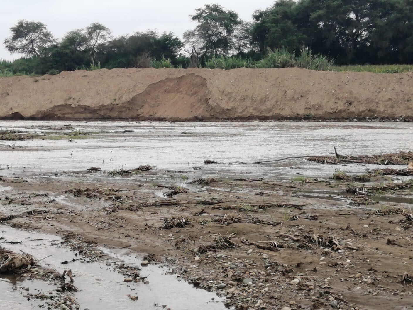 Trabajos deficientes del Ejecutivo.