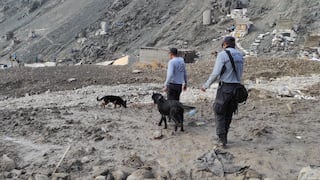 Arequipa: Con ayuda de canes buscan cuerpos arrastrados por huaico en Secocha