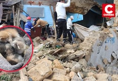 Huancayo: Rescatan gatitos y llevan ayuda a familias damnificadas tras inundaciones