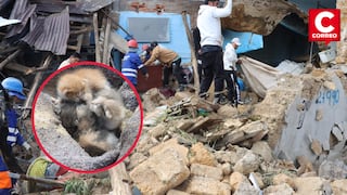 Huancayo: Rescatan gatitos y llevan ayuda a familias damnificadas tras inundaciones