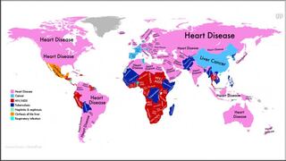 OMS: Las enfermedades que provocan más muertes en el mundo 