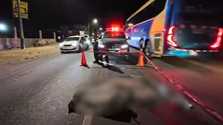 Arequipa: Motociclista muere al chocar contra auto que ingresaba a una cochera