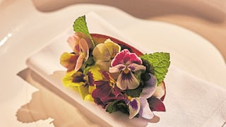 El talento de Jessica Rosval y Al Gatto Verde