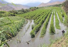 El Niño Costero restó más de 1 punto porcentual a la economía peruana en el 2023