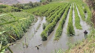 El Niño Costero restó más de 1 punto porcentual a la economía peruana en el 2023
