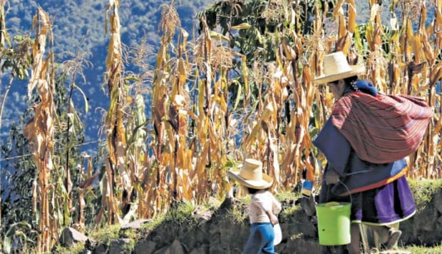 Hasta 2019, Huancavelica era la única región en grave situación de hambre, pero tras la pandemia otras regiones están en su misma situación. (Foto: archivo)