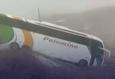 Bus de empresa Palomino sufre accidente en la vía interoceánica hacia Puquio