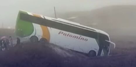 Bus de empresa Palomino sufre accidente en la vía interoceánica hacia Puquio