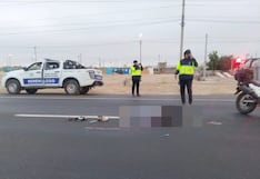 Ica: vehículo atropella, mata a joven y se da a la fuga en la Panamericana Sur