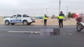 Ica: vehículo atropella, mata a joven y se da a la fuga en la Panamericana Sur