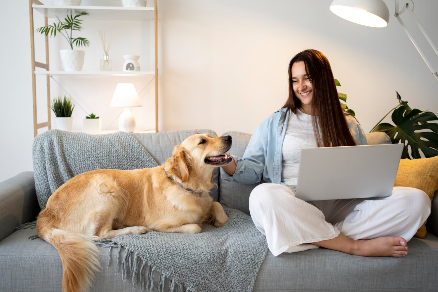 Con más de la mitad de los hogares peruanos conviviendo con al menos un perro, expertos recomiendan adecuar los espacios de la vivienda para reducir riesgos y garantizar el bienestar de las mascotas.