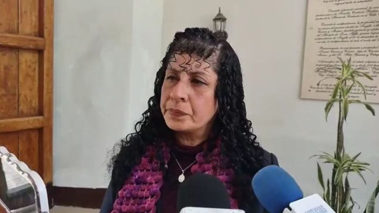 La gerente de Comercio, Turismo y Artesanía, Angélica Villanueva, sostuvo que la inseguridad golpea.