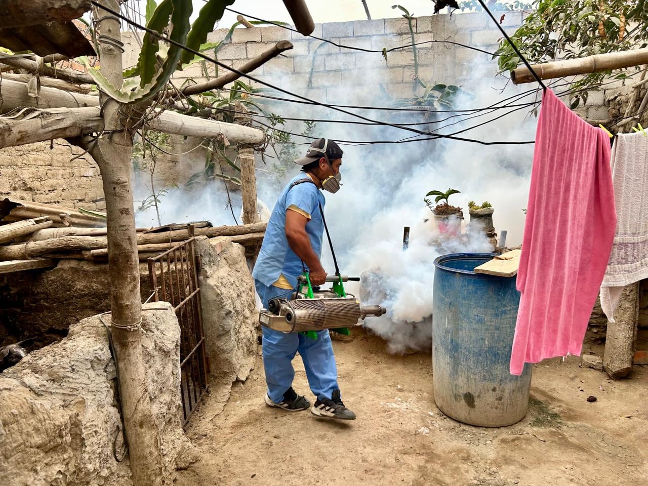 Dengue: Minsa recomienda revisar la casa 10 minutos a la semana para eliminar criaderos