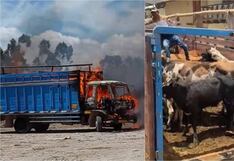 Robaban 14 ganados, rescatan a los animales y queman camión de abigeos en Cora Cora