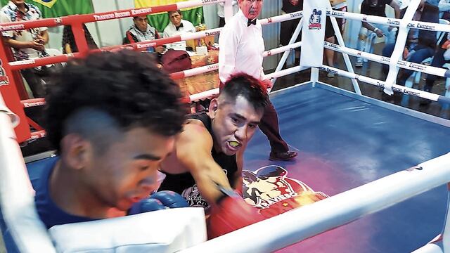 Boxeadores del sur del país se medirán en grandes encuentros en Arequipa