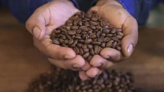 Ruta del café en la Selva Central: qué hacer en La Merced, Villa Rica y Oxapampa