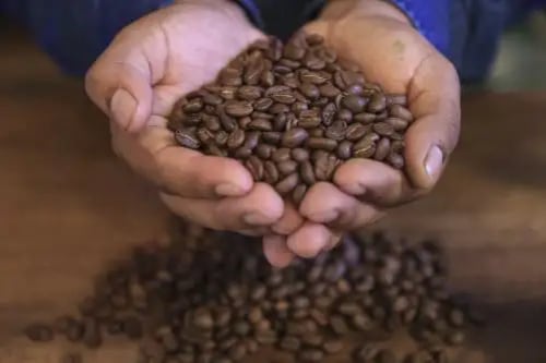 Recorrer plantaciones, participar en catas y conocer el origen de los granos son algunas de las actividades que pueden realizarse en estos tres destinos. La ruta también permite descubrir paisajes, gastronomía y tradiciones locales.
