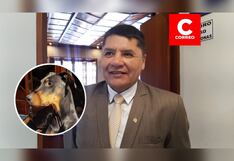 Arequipa: JNE declara nulo el pedido de vacancia contra Víctor Hugo Rivera