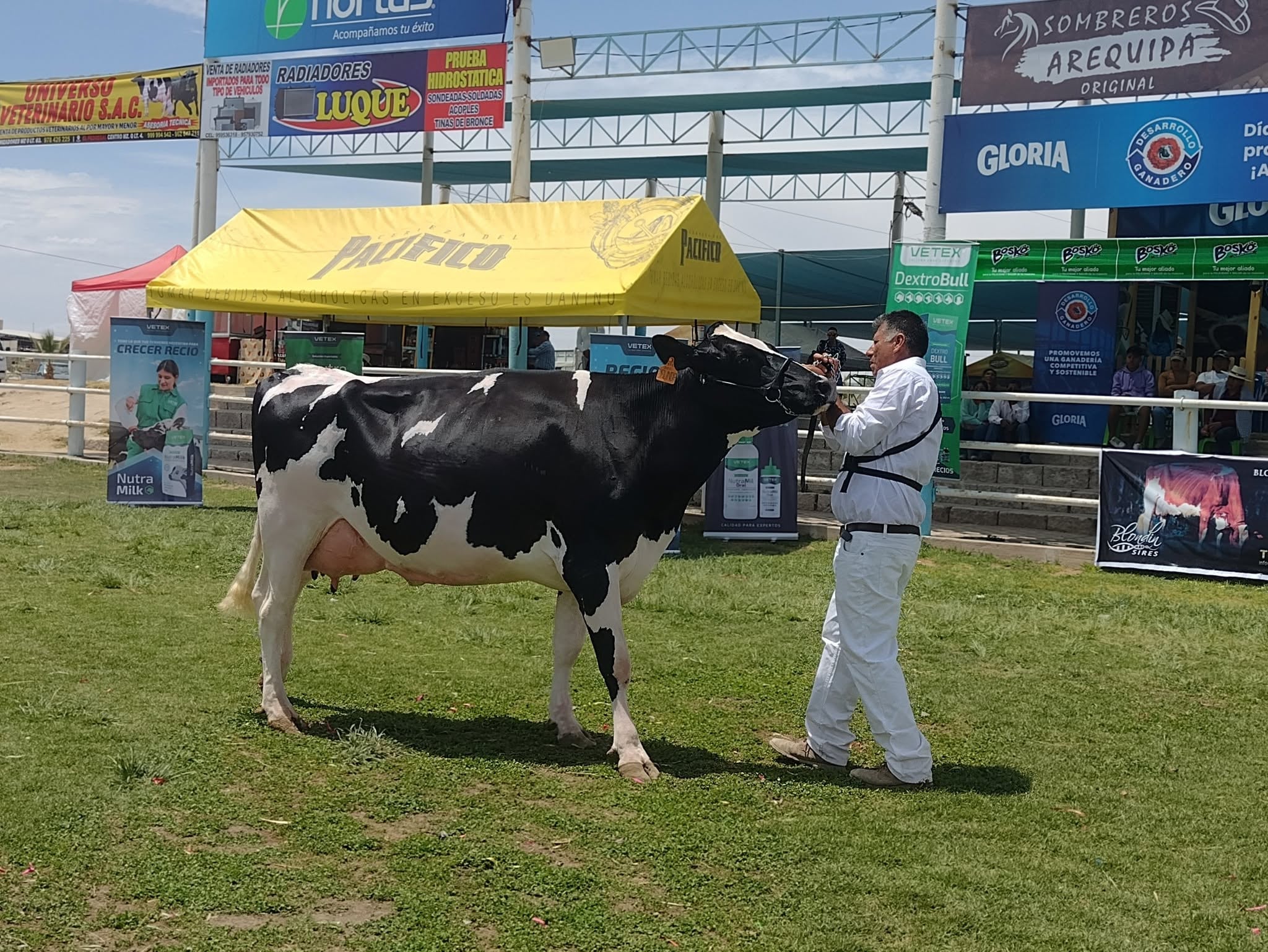 Feria Internacional Expo Majes 2026 abordará sobre el cambio climático en Arequipa