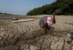 Decano del Colegio de Economistas: “Las pérdidas por la sequía pueden superar los 2 000 millones de dólares en Piura”