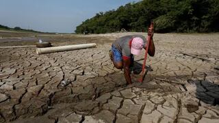Decano del Colegio de Economistas: “Las pérdidas por la sequía pueden superar los 2 000 millones de dólares en Piura”