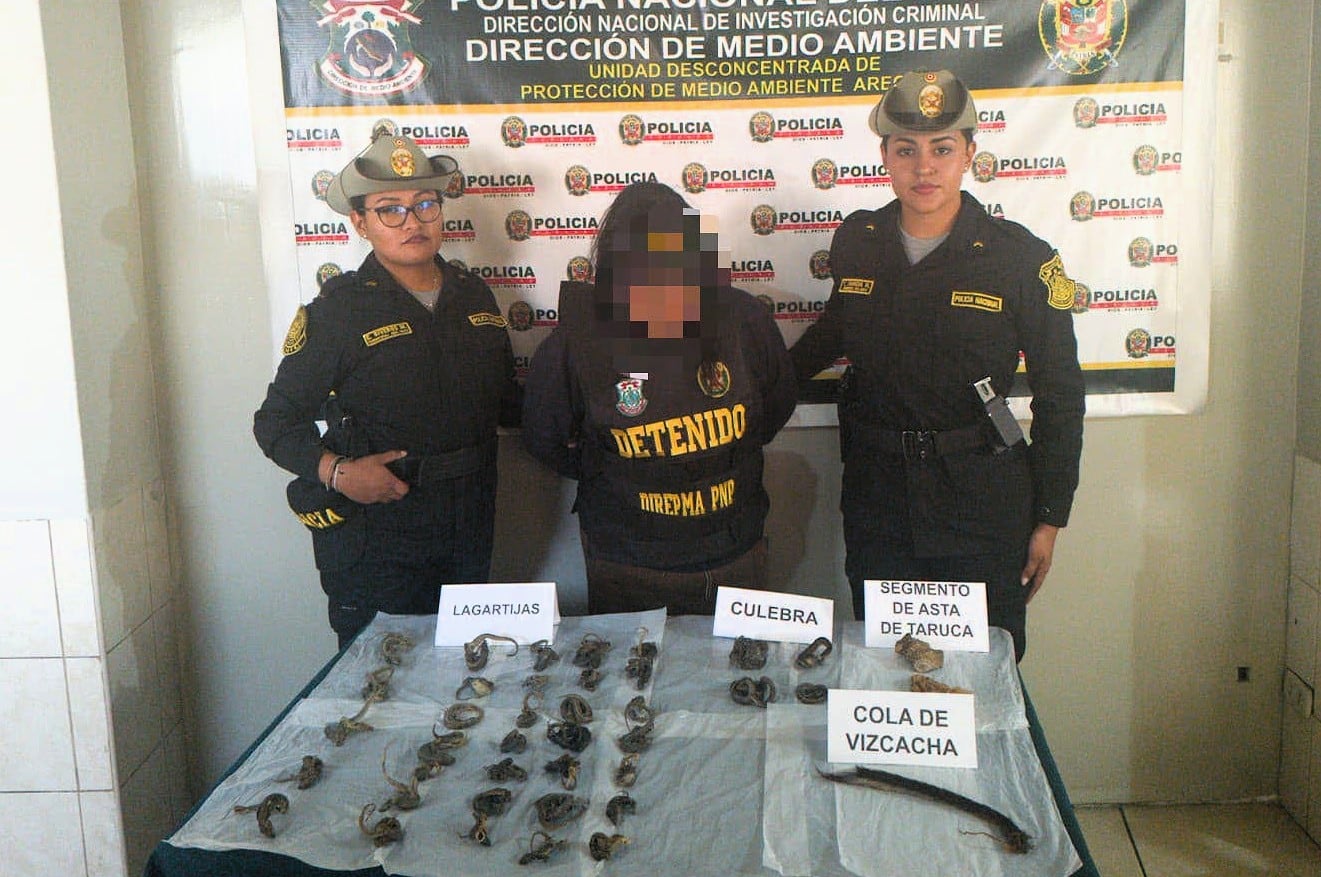 Persona detenida por el delito de depredación de flora y fauna silvestre en Arequipa. Foto: Región Policial Arequipa.