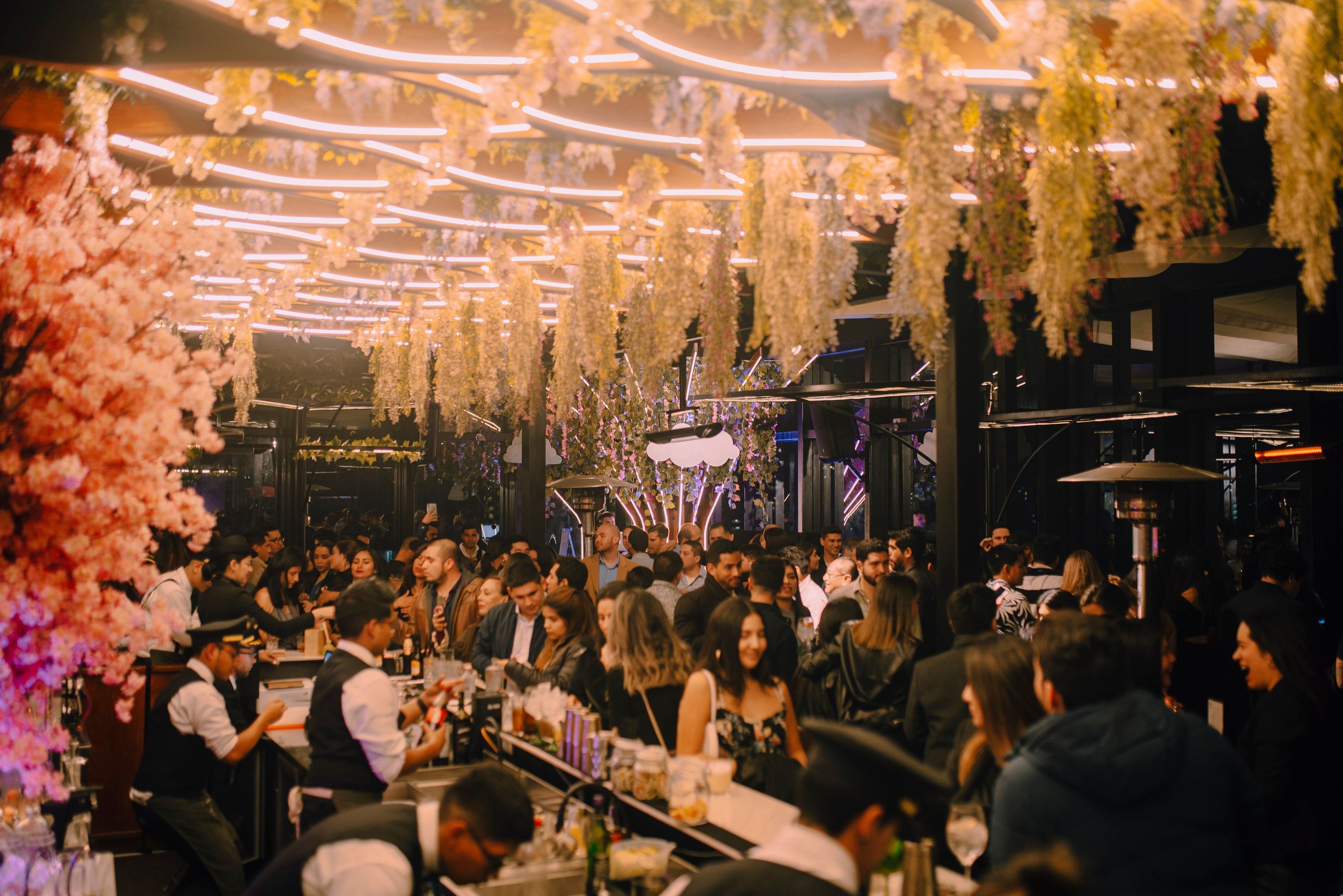 El rooftop miraflorino anuncia un evento multisensorial el sábado 4 de octubre con música en vivo, coctelería de autor, intervenciones artísticas y gastronomía en las alturas.