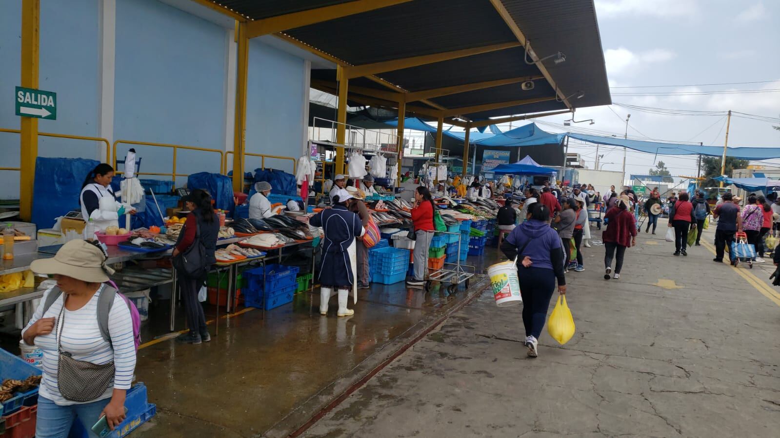 Cargamento fue decomisado por sus características. (Foto: GEC)