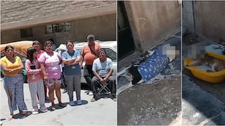 Ica: denuncian que criminales envenenan perros y gatos en el distrito de Parcona