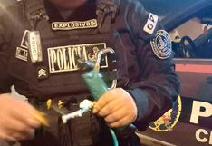 La Libertad: Detonan dinamita en local de empresa constructora, en Chepén