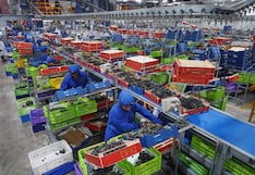Exportaciones de Ica alcanzan récord de US$ 8.4 mil millones en 2025