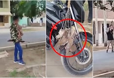 Ica: denuncian a motociclistas que cazaban palomas con escopetas en plena zona urbana