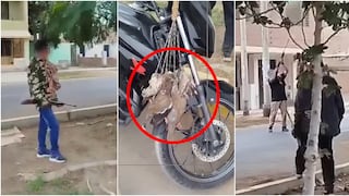 Ica: denuncian a motociclistas que cazaban palomas con escopetas en plena zona urbana