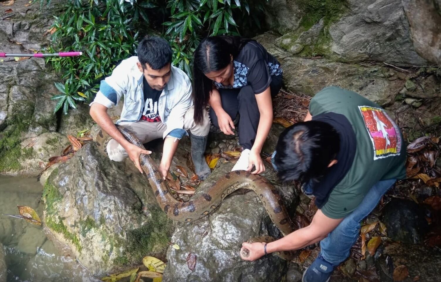 Animalito fue rescatado por personal especializado