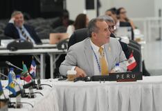 Ministro Elmer Schialer respalda en la OEA creación de plataforma hemisférica por la seguridad ciudadana