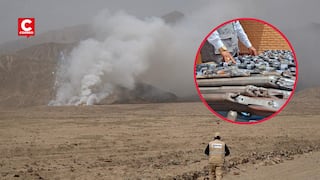 Destruyen más de ocho mil armas de fuego y toneladas de pirotécnicos incautados en varias regiones