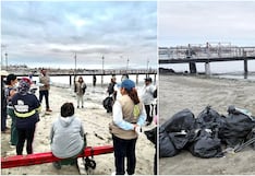 “Marea limpia”: Paracas une esfuerzos para proteger el océano y la costa pisqueña