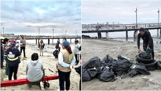 “Marea limpia”: Paracas une esfuerzos para proteger el océano y la costa pisqueña