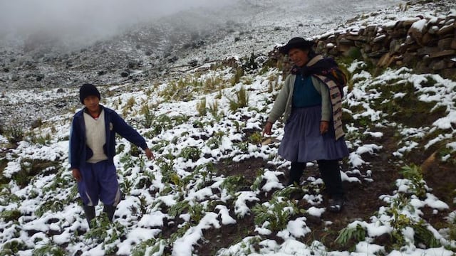 Senamhi: Cajamarca soportará heladas de entre -7 y -4 grados