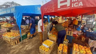 Ica: 94 productores participan en la feria del mango en la avenida Arenales