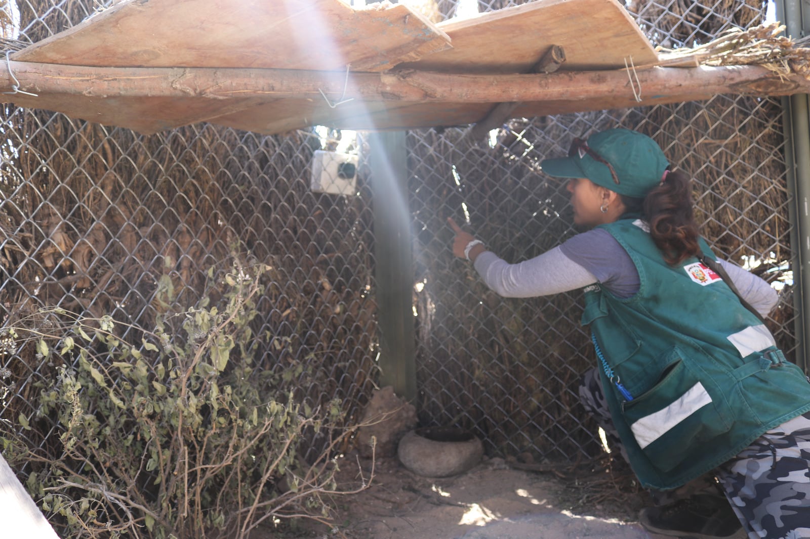 Ambiente con cámaras para su monitoreo. (Foto: Serfor)
